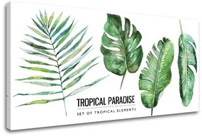 Obraz na stenu s textom Tropical paradise