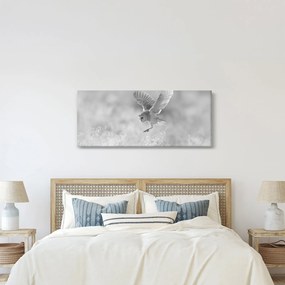 Obraz - Sova v poli (120x50 cm)