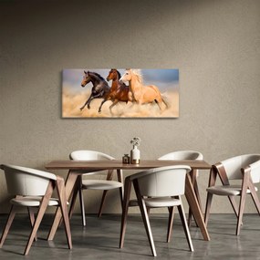 Obraz - Divé kone (120x50 cm)