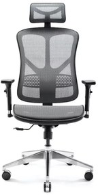 Diablo Chairs - Ergonomické kreslo Diablo V-Basic