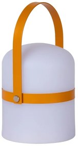 Lucide 06802/01/43 -LED Vonkajšia stmievateľná lampa LITTLE JOE LED/0,3W/3,7V IP44