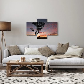 Obraz - Strom a červánky (90x60 cm)