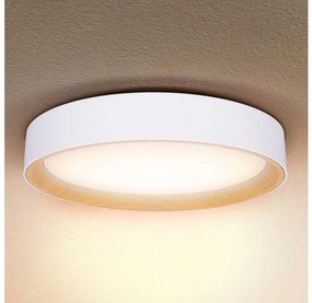 Brilagi -LED Stmievateľné svietidlo LARIOS LED/60W/230V 3000-6500K ø 49 cm biela+DO WO800-OEM18