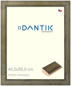 DANTIK rám na obraz 40x50 | Artdeco Champagne (Plexi Čiré)