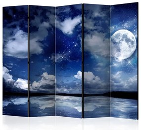 Artgeist Paraván - Magic Night II [Room Dividers]