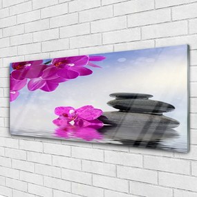 Obraz na akrylátovom skle Kvety kamene rastlina 125x50 cm