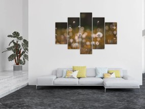 Obraz - Lúka s cottongrass N⁰2 (150x105 cm)