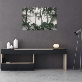 Obraz - Jungle v rannej hmle (90x60 cm)