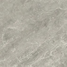Dlažba Balmoral Grey 60x60 R