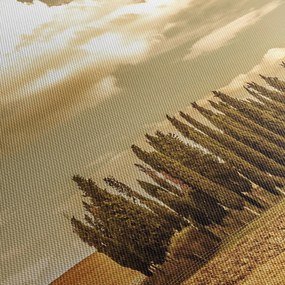 Obraz čistinky (120x50 cm)