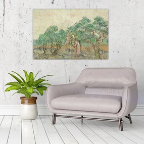 Obraz - Vincent van Gogh, The Olive Orchard, reprodukcia (90x60 cm)