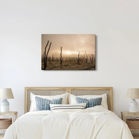 Obraz - Holé stromy (90x60 cm)