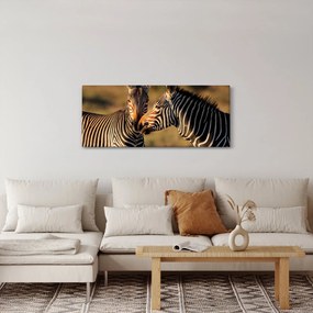 Obraz - Dve zebry (120x50 cm)