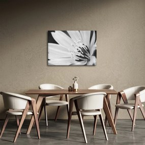 Obraz - Čiernobiely kvet (70x50 cm)