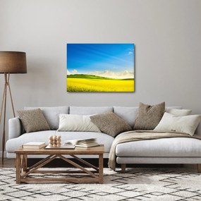 Obraz - Jarné nebo (70x50 cm)