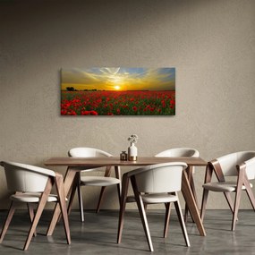 braz poľa vlčích makov (120x50 cm)
