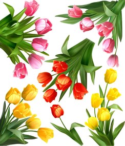 PIPPER. Tulipány - textilná nálepka na stenu
