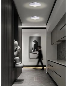 Immax NEO 07238L - LED Stmievateľné stropné svietidlo CANTO 22W/230V biela Tuya +DO