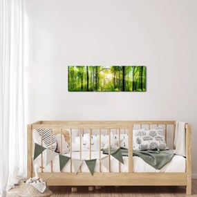 Obraz - Svitanie v lese (s hodinami) (90x30 cm)