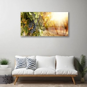 Skleneny obraz Hrozno listy kuchyňa 125x50 cm