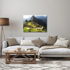Obraz - Machu Picchu (70x50 cm)