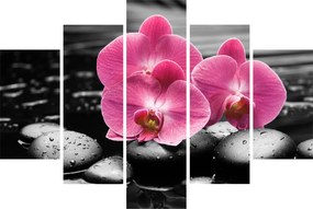 Obraz - Ružové orchidey (150x105 cm)