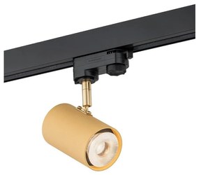 Argon 4323 - LED Bodové svietidlo do lištového systému HAGA LED/9W/230V zlatá