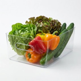SMARTSTORE Organizér CompactClear, 15,4l (L), 41 x 29 x 15,5 cm