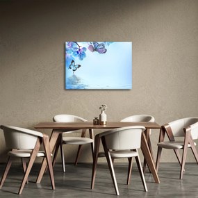 Obraz - Motýľ na kvetoch orchidey, modrý (70x50 cm)