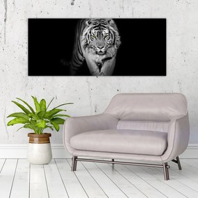 Obraz - Tiger so žltými očami (120x50 cm)