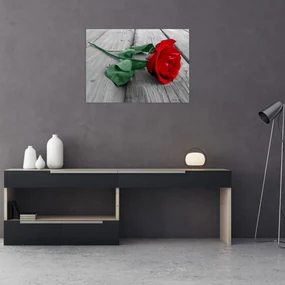 Sklenený obraz - Červená ruža so zelenou stonkou (70x50 cm)
