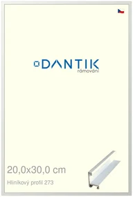 DANTIK rám na obraz 20x30 | ALU Bílá matná (Sklo Čiré)
