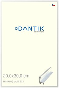 DANTIK rám na obraz 20x30 | ALU Bílá matná (Sklo Čiré)