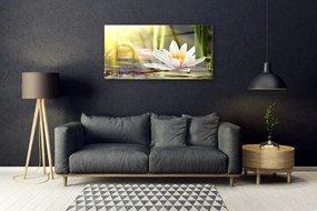 Skleneny obraz Kvet vodné lilie 100x50 cm