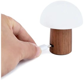 Biela/v tmavoprírodnej farbe LED stolná lampa (výška 7 cm) Alice Mushroom – Gingko