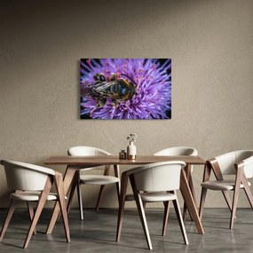 Obraz včely na kvetine (90x60 cm)