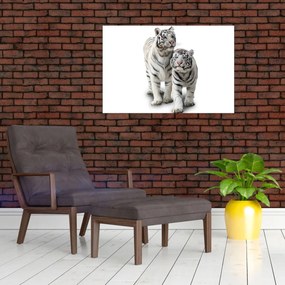 Obraz - Biely tiger (90x60 cm)