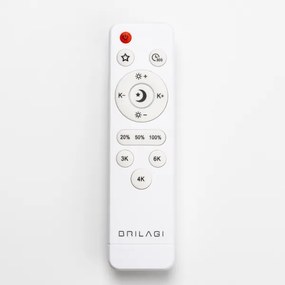 Brilagi - LED stlmiteľné stropné svietidlo PINE LED/24W/230V + diaľkové ovládanie
