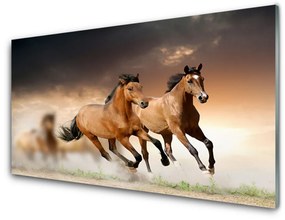 Obraz na skle Kone zvieratá 120x60 cm