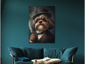 drevko |  Obraz Pán Shih Tzu v klobúku