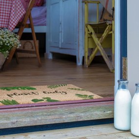 Rohožka z kokosového vlákna 40x60 cm Plant Lady – Artsy Doormats