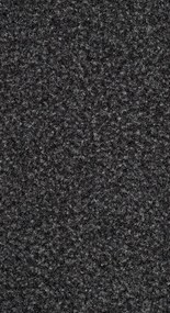 AKCIA: 200x770 cm Čistiaca zóna Robust 135 šedá, šíře, šedá, pvc, chodba / predsieň