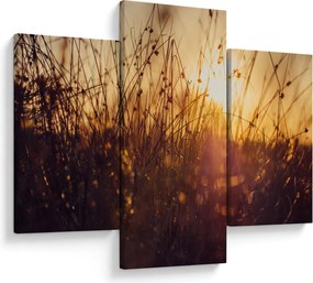 Obraz poľa pri západe slnka (90x60 cm)