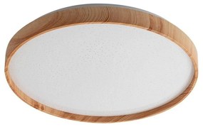 Rabalux 71144 - LED Stropné svietidlo LEANA LED/24W/230V 3000K pr. 38 cm