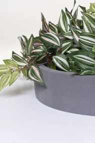 Miska na dekorácie CIRCULO, sklolaminát, Ø 40 cm, sivá