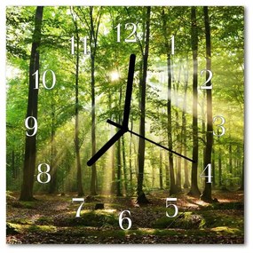 Nástenné sklenené hodiny Lesné príroda 30x30 cm