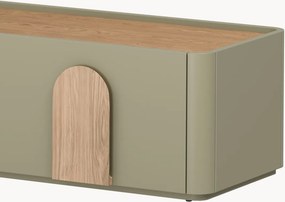RTV skrinka Amilio 170 cm so zásuvkou - eukalyptus / dub baltic dune / úchyty dub prírodný