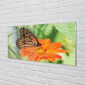 Sklenený obraz Kvet farebný motýľ 120x60 cm