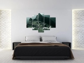 Obraz - Lamy na Machu Picchu v Peru (150x105 cm)