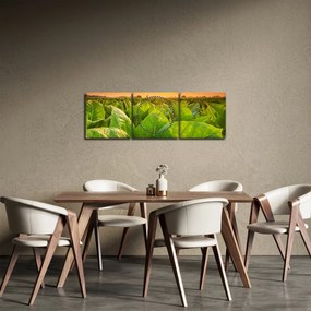 Obraz - Pole (s hodinami) (90x30 cm)